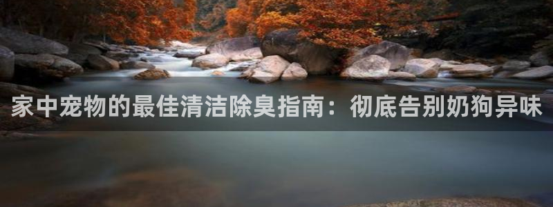 尊龙凯时 - 人生就是搏有假吗：家中宠物的最佳清洁除臭指