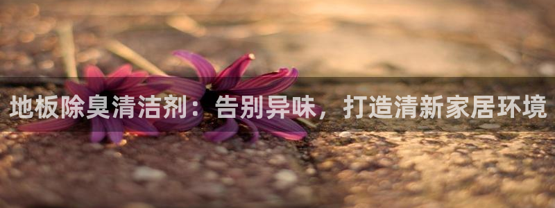 Z6尊龙老版：地板除臭清洁剂：告别异味，打造清新家居环境