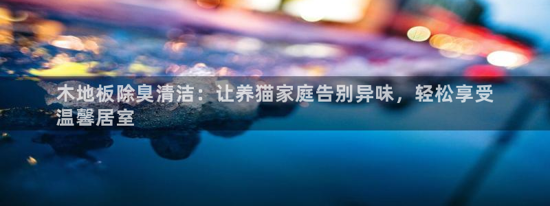尊龙传奇英文怎么写：木地板除臭清洁：让养猫家庭告别异味，