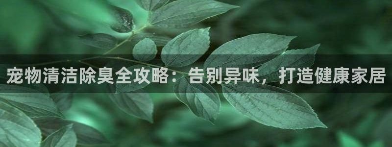 尊龙旗舰店：宠物清洁除臭全攻略：告别异味，打造健康家居