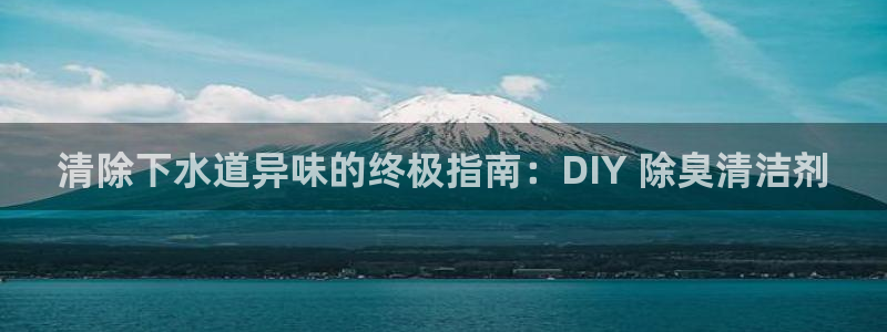 尊龙d88手机版下载：清除下水道异味的终极指南：DIY 