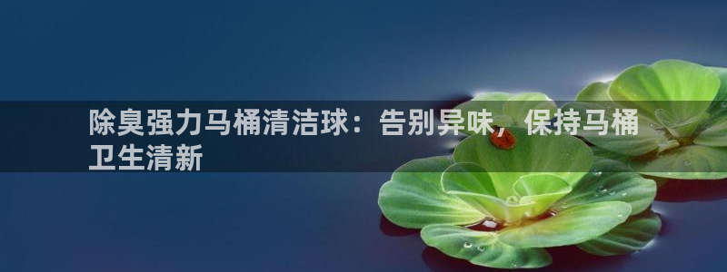 尊龙新版app首页：除臭强力马桶清洁球：告别异味，保持马