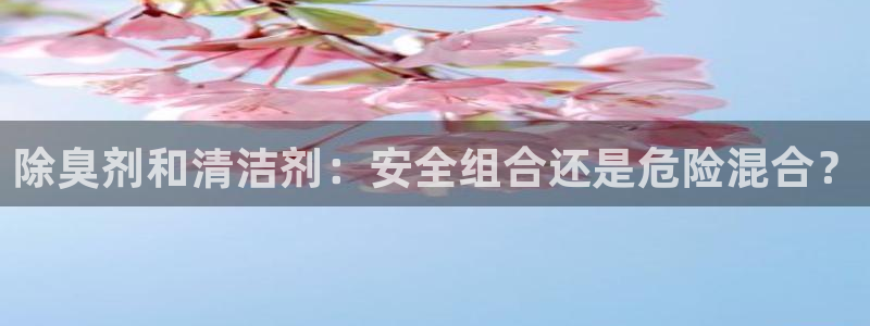 尊龙ag旗舰厅手机版：除臭剂和清洁剂：安全组合还是危险混