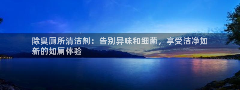 尊龙官方网站是真的吗：除臭厕所清洁剂：告别异味和细菌，享