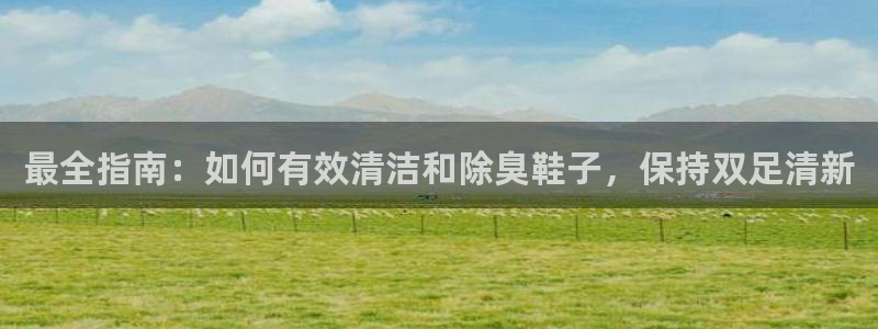 尊龙凯时提款一直审核中：最全指南：如何有效清洁和除臭鞋子
