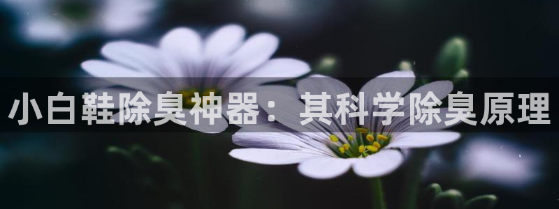 凯时赢来就送38：小白鞋除臭神器：其科学除臭原理