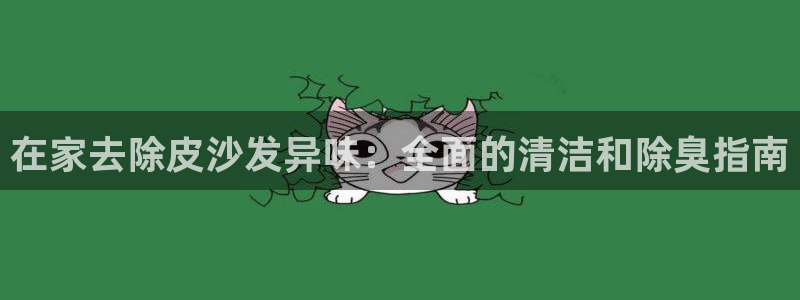尊龙凯时新闻：在家去除皮沙发异味：全面的清洁和除臭指南