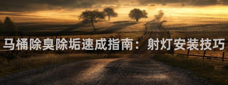尊龙凯时网站网址：马桶除臭除垢速成指南：射灯安装技巧