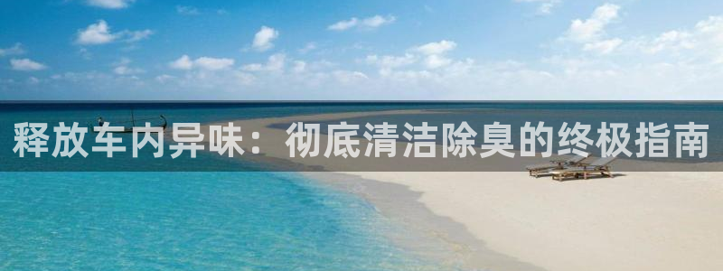 尊龙凯时推荐人：释放车内异味：彻底清洁除臭的终极指南