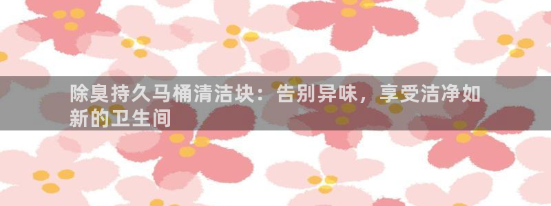 尊龙凯时存款多久到账：除臭持久马桶清洁块：告别异味，享受