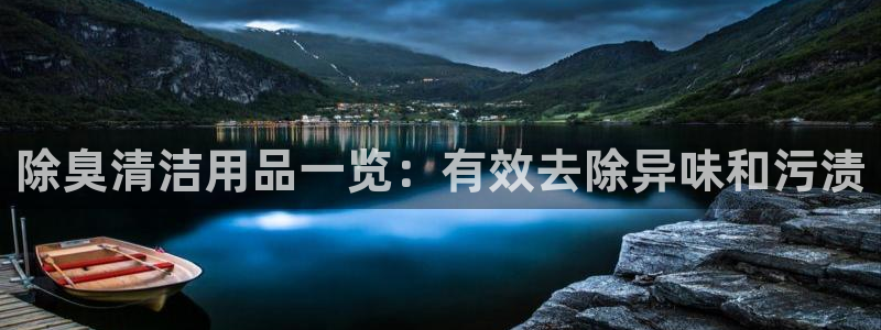 尊龙凯时处理未到账：除臭清洁用品一览：有效去除异味和污渍