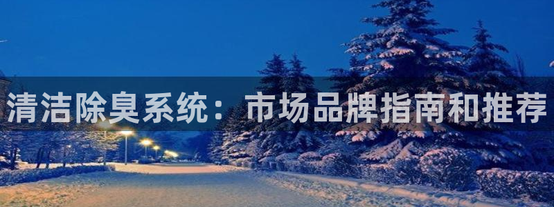 尊龙实业有限公司是正规还是仿：清洁除臭系统：市场品牌指南