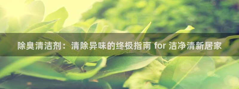 尊龙凯时品牌介绍：除臭清洁剂：清除异味的终极指南 for