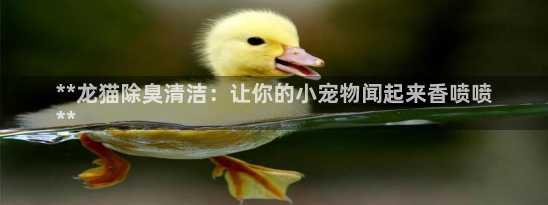 凯时登录：**龙猫除