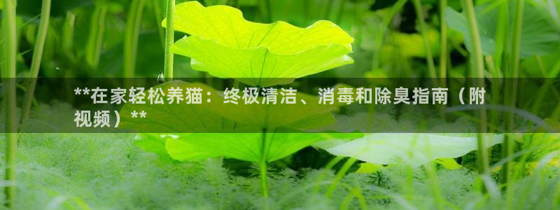 尊龙官网地址：**在