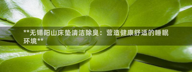 尊龙凯时处理未到账：