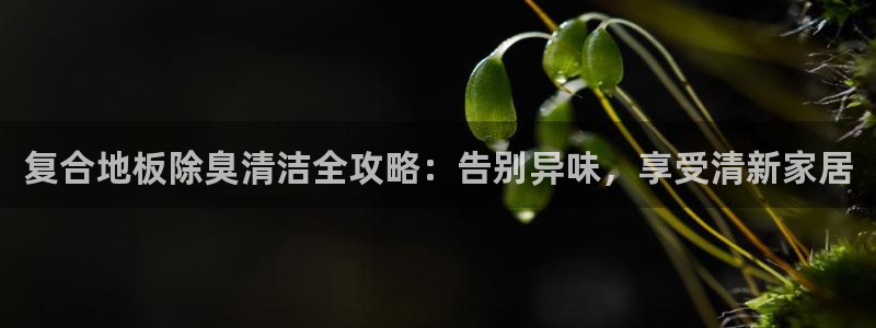 尊龙凯时人生就是搏技术实力：复合地板除臭清洁全攻略：告别