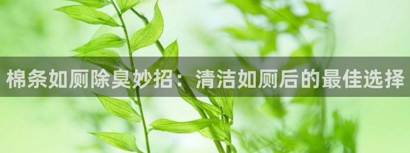 凯时K8国际：棉条如