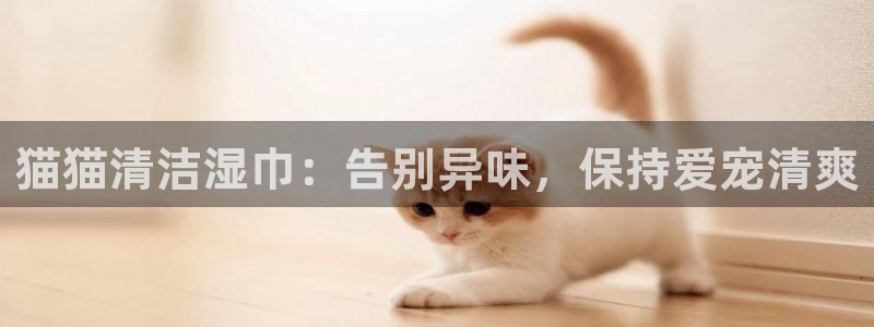 尊龙人生就是博旧版手机可靠送38元：猫猫清洁湿巾：告别异