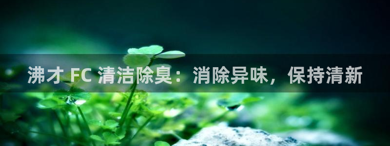尊龙凯时有没有出不了款的情况：沸才 FC 清洁除臭：消除