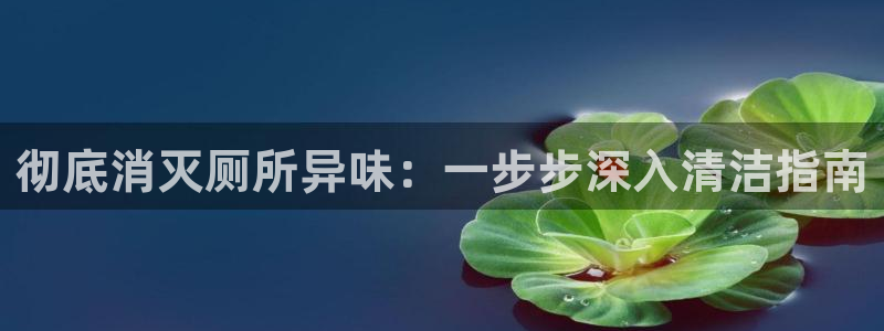 尊龙人生就是博中国区：彻底消灭厕所异味：一步步深入清洁指