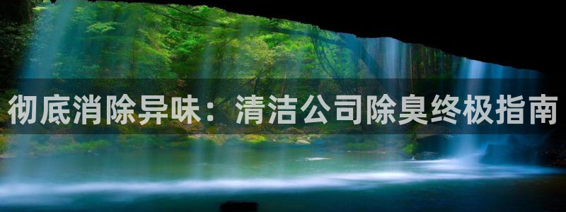 尊龙是什么软件：彻底消除异味：清洁公司除臭终极指南