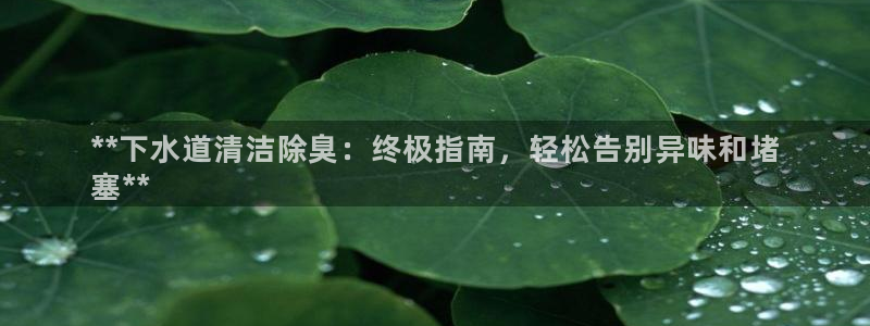 尊龙官方网站是真的吗