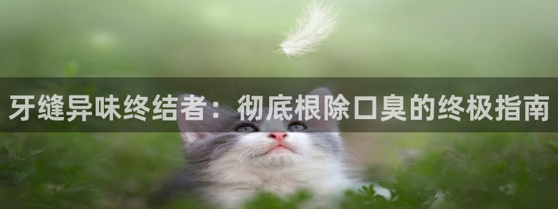 尊龙z6平台：牙缝异味终结者：彻底根除口臭的终极指南