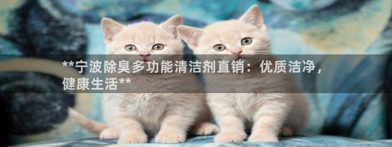 尊龙人生就是博首页：**宁波除臭多功能清洁剂直销：优质洁