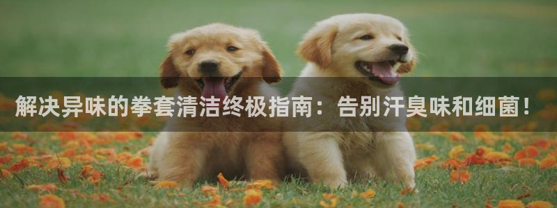 尊龙网站登录：解决异