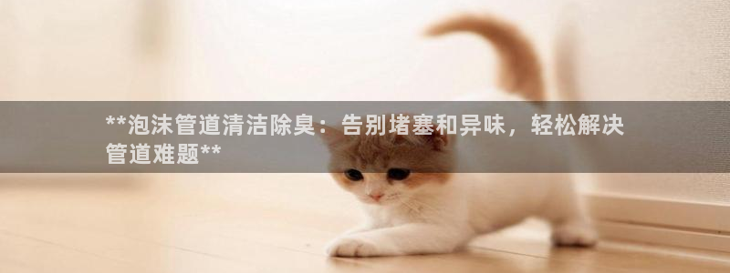 尊龙凯时app安装：**泡沫管道清洁除臭：告别堵塞和异味
