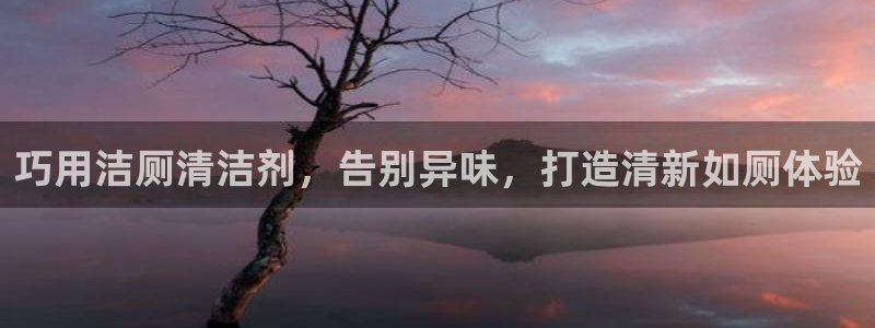 尊龙会ktv价格：巧用洁厕清洁剂，告别异味，打造清新如厕