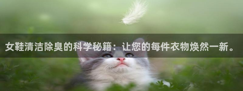 下载尊龙