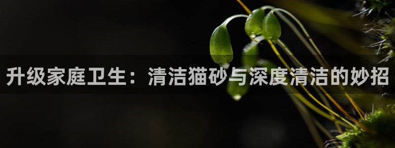 尊龙现在