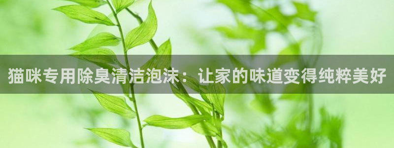 凯时最新官方APP下载