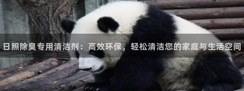 尊龙t600怎么样
