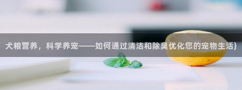 尊龙 中国