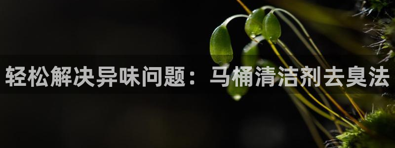 尊龙凯时一人生就是博官网