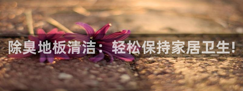 尊龙凯时官网网页版