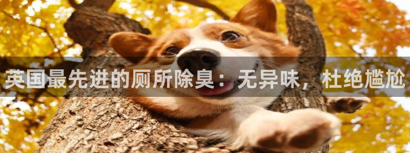 尊龙ag旗舰：英国最先进的厕所除臭：无异味，杜绝尴尬