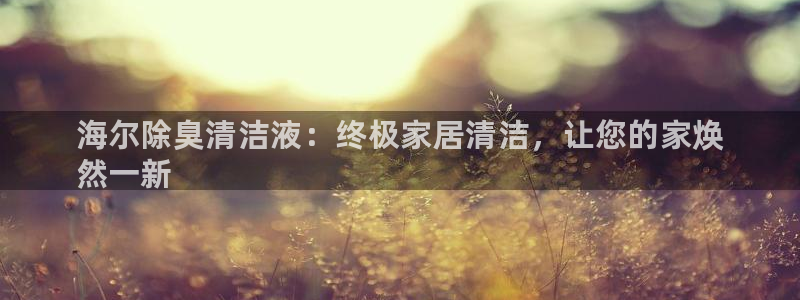 Z6尊龙老版：海尔除
