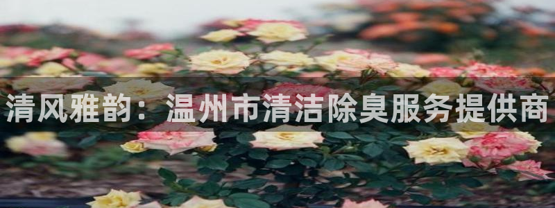 尊龙Ag