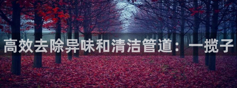 尊龙凯时官网版登录