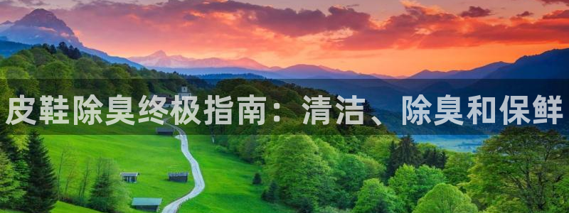 尊龙凯时赞助：皮鞋除臭终极指南：清洁、除臭和保鲜