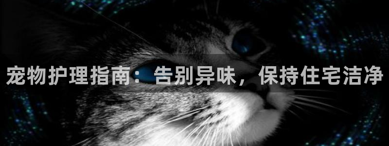 尊龙物流怎么样：宠物