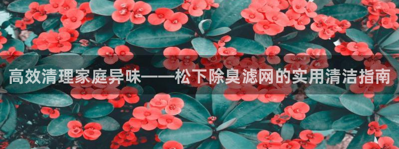 尊龙凯时人生就是搏技术实力